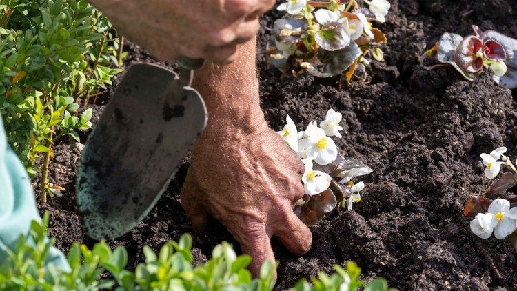 Deux jardiniers par jour pendant 15 jours ont été nécessaires. 