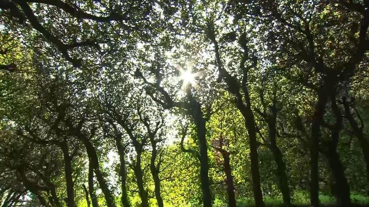 2025.05.29 Borgo Laudato si’