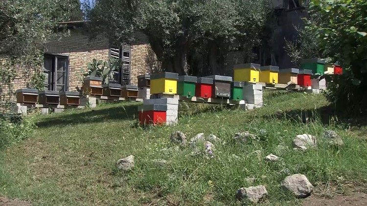 V Borgu Laudato si' nemohou chybět včel&iacute;ny