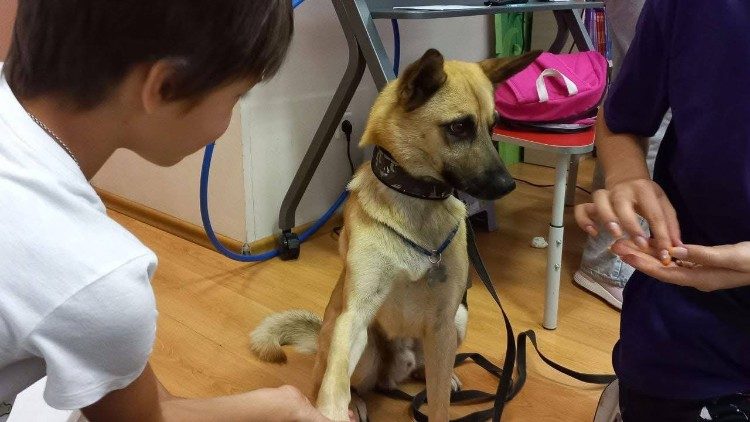 Dog therapy for children