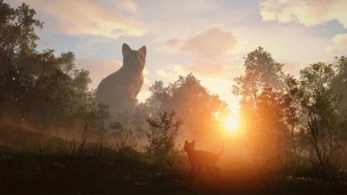 Unser Filmtipp: Flow