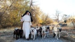 Siostry norbertanki poświęcają się modlitwie oraz pracy - m.in. hodowli psów