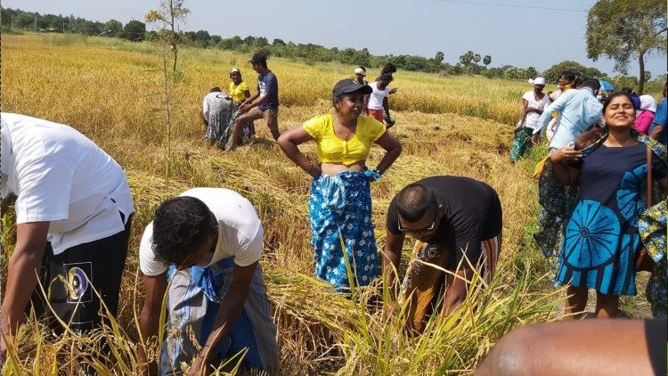 Sri Lanka, contadini