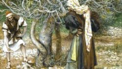 Neki človek je rekel svojemu vinogradniku: ›Glej, tri leta je že, kar hodim iskat sad na tej smokvi, pa ga ne najdem. Posekaj jo, čemú izčrpava zemljo?‹ Ta pa mu je odgovoril in rekel: ›Gospod, pústi jo še letos, da jo okopljem in pognojim....‹«