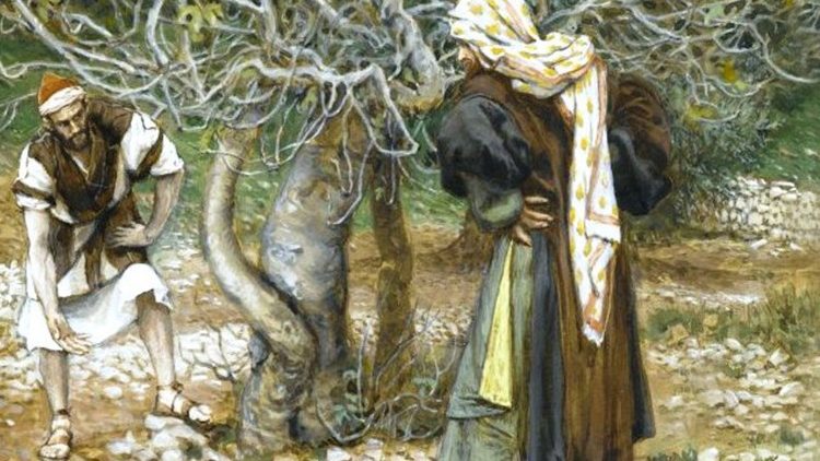 Neki človek je rekel svojemu vinogradniku: ›Glej, tri leta je že, kar hodim iskat sad na tej smokvi, pa ga ne najdem. Posekaj jo, čemú izčrpava zemljo?‹ Ta pa mu je odgovoril in rekel: ›Gospod, pústi jo še letos, da jo okopljem in pognojim....‹«