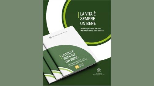 Laien-Dikasterium gibt Arbeitshilfe zu Pastoral des Lebens heraus 