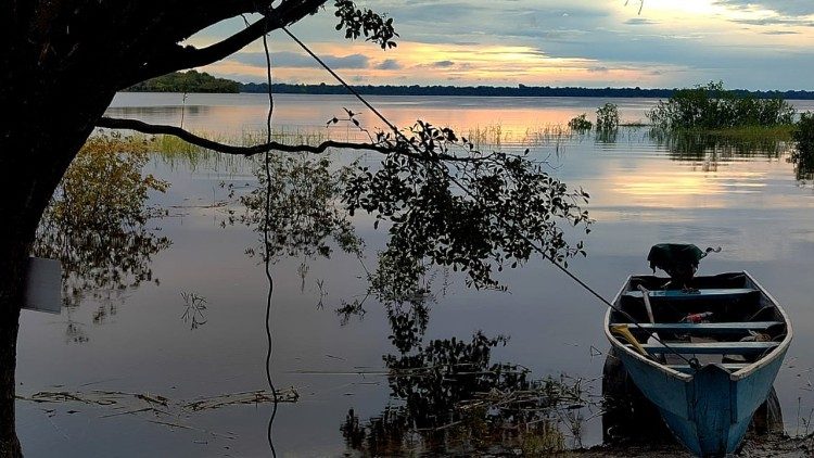 La metáfora de la semilla indica la necesidad de un compromiso a largo plazo.