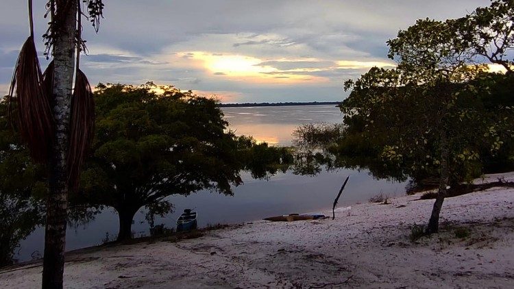 2025-03-27 IMAGENS AMAZONIA