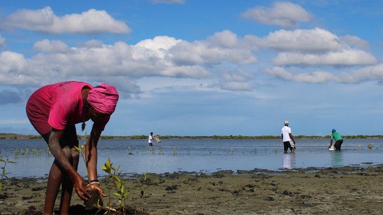 Una giornata di riforestazione nella Repubblica Dominicana. Fonte: Fondazione Avsi