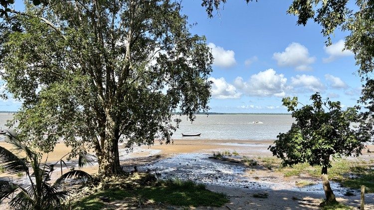 The Rio Guajará (Guajará River), part of the vast Amazon River delta