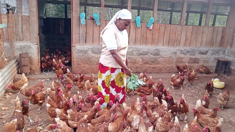 Allevamento di pollame, una delle aziende agricole realizzate nei progetti