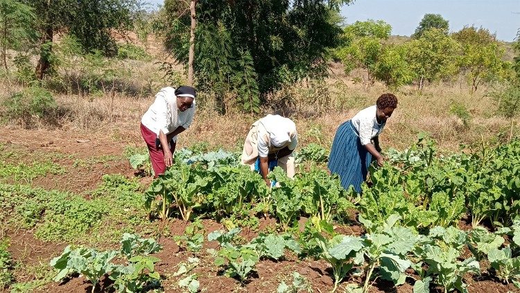 Suor Josephine al lavoro con altri agricoltori