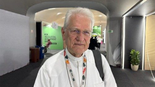O Cardeal Leonardo Steiner &eacute; eleito presidente da CEAMA 