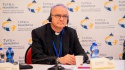 La Comisión Pontificia para la Protección de Menores celebró su taller en Asís, durante la Asamblea General de la Conferencia Episcopal Italiana (CEI)