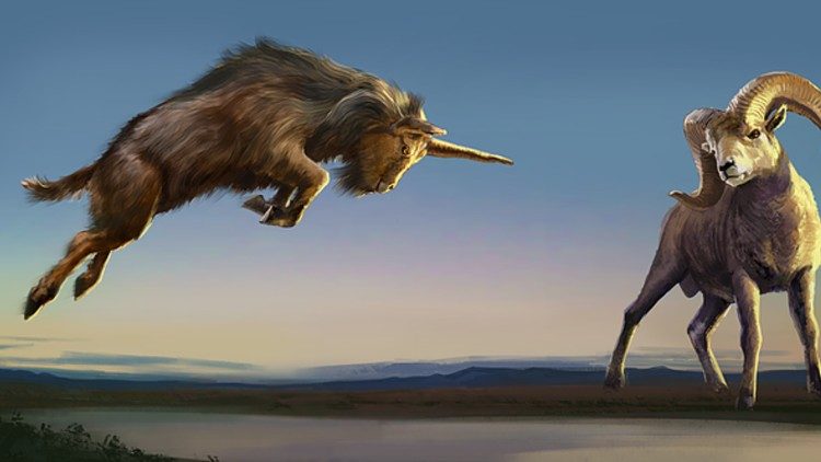 தற்பெருமையால் வீழ்ந்த வெள்ளாட்டுக்கிடாய்