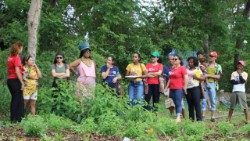 234 projetos de Ecologia Integral foram apoiados