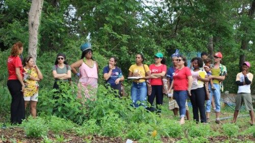 234 projetos de Ecologia Integral foram apoiados