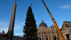 2025.11.27-foto-albero-dinatale.jpg