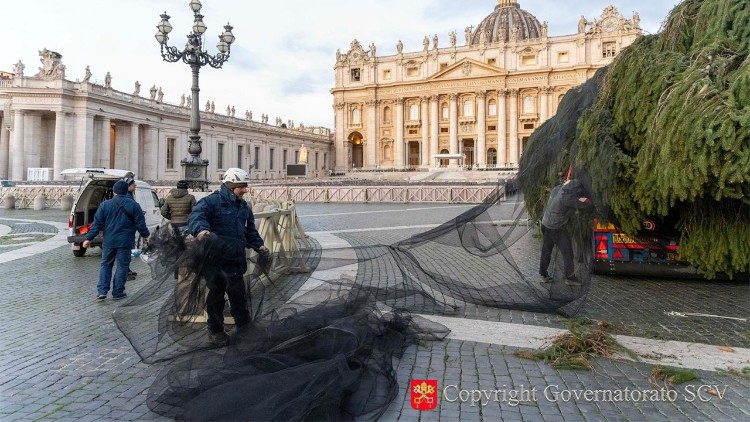 Opération "sapin de Noël" place Saint-Pierre, ce jeudi matin.