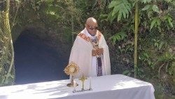 Archbishop Rochus Josef Tatamai, MSC, at Holy Mass in Taogo, the farmstead of the families of Blessed Peter To Rot