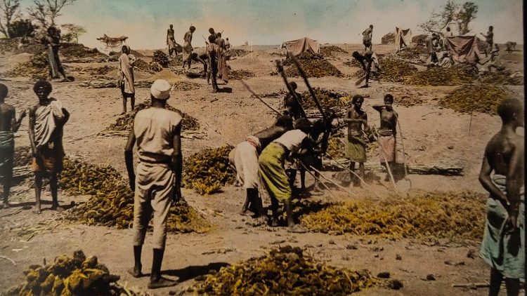 Eines der Bilder aus der Afrika-Sammlung der Seligen