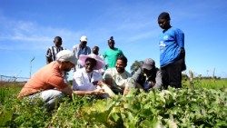 NOW Partners Foundation is a global initiative dedicated to sustainably implementing agroecology across the globe
