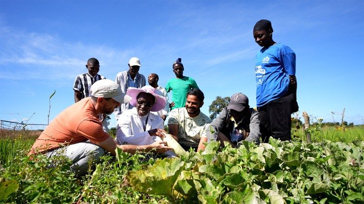 NOW Partners Foundation is a global initiative dedicated to sustainably implementing agroecology across the globe
