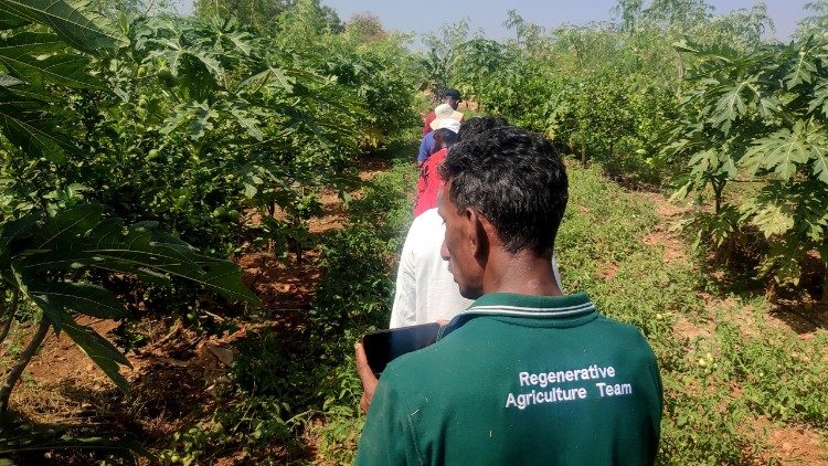 In the Amazon, the NOW Foundation is partnering to expand SAF Dende, a regenerative palm oil methodology 