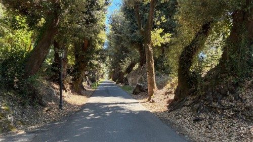 2025.09.02 Borgo Laudato si'