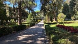 Msza św. odbyła się w Borgo Laudato si'