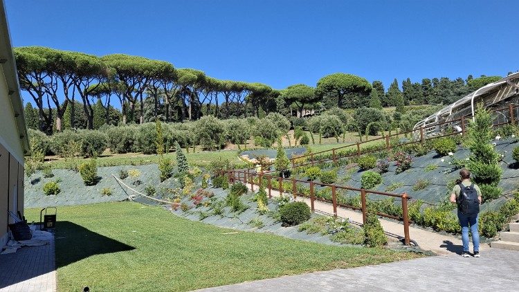 20 hectáreas cultivadas y donde está la Granja 