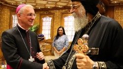 Archivbild: Audienz beiPapst Tawadros II., Oberhaupt der koptisch-orthodoxen Kirche, in Kairo
