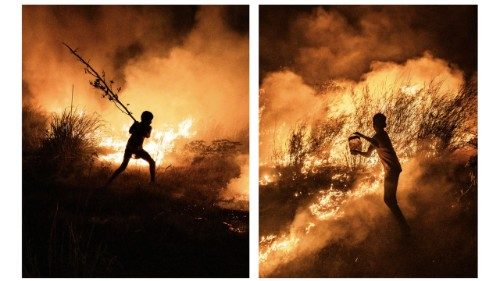 La exposición Earth Partner en Borgo Laudato Si’.