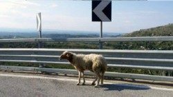 2025.09.05 Injili ya Dominika ya  XXIII ya mwaka C.