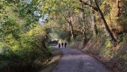 Шлях святого Якова