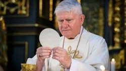 Biskup Václav Malý (Jakub Šerých / člověk a Víra, církev.cz)