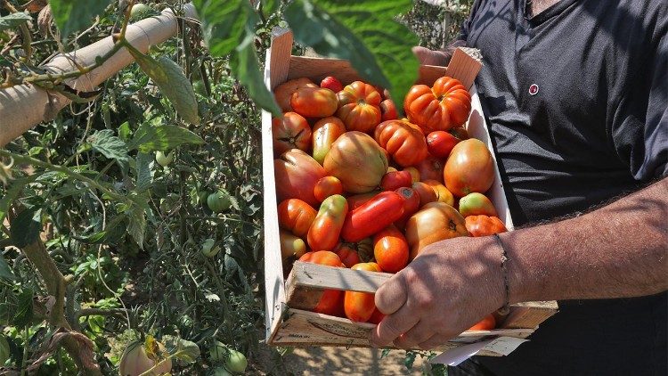 2025.09.23 foto orto carcere Pavia