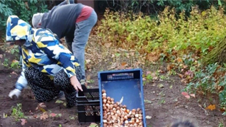 I residenti lavorano in giardino e piantano ortaggi