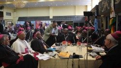 Праці асамблеї в Манзіні