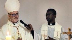 Il cardinale Czerny durante la messa per la riunione plenaria dell'IMBISA
