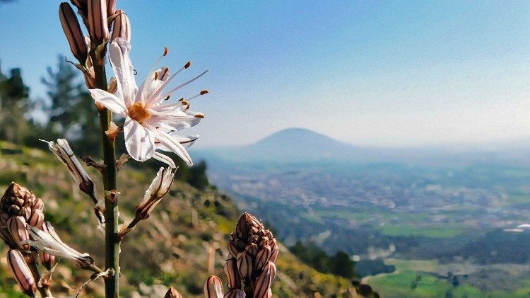 Berg Tabor, Heiliges Land