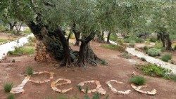 Getsemanská zahrada  (Amata J. Nowaszewska CSFN)