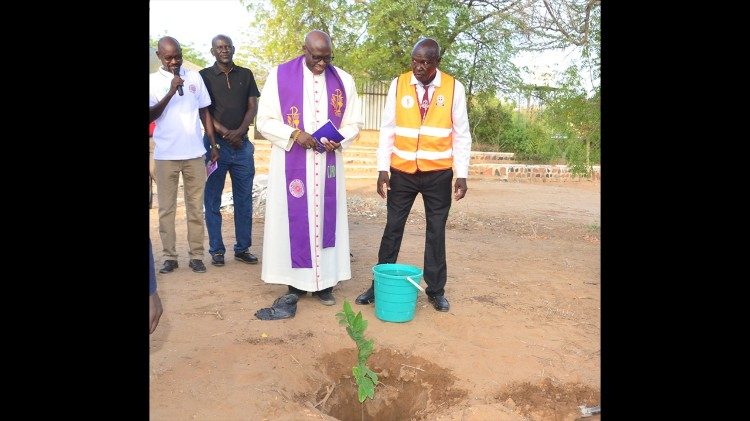 Planting  trees near water sources