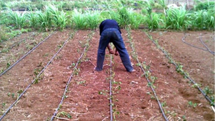 A Caritas development project in Cape Verde