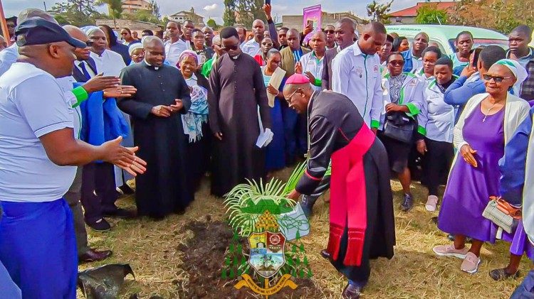 Plantio de &aacute;rvore durante a Quaresma