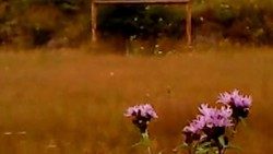 Unser Filmtipp: Dry Leaf