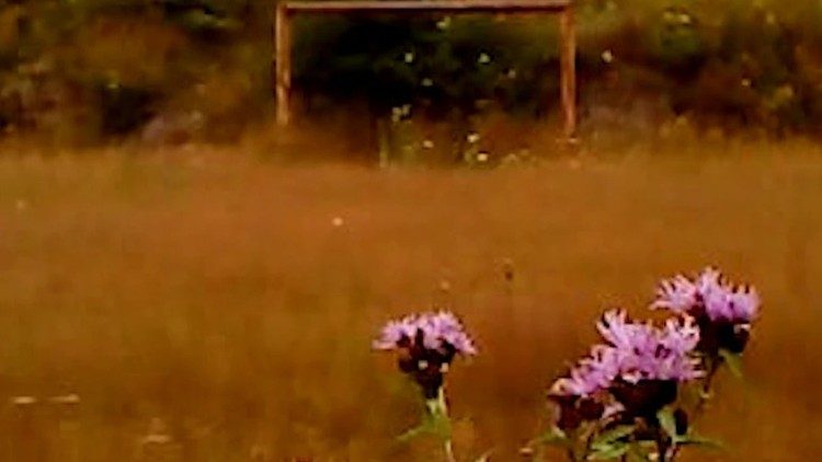 Unser Filmtipp: Dry Leaf