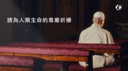 2026.07.02 INT PREG CINESE tradizionale
