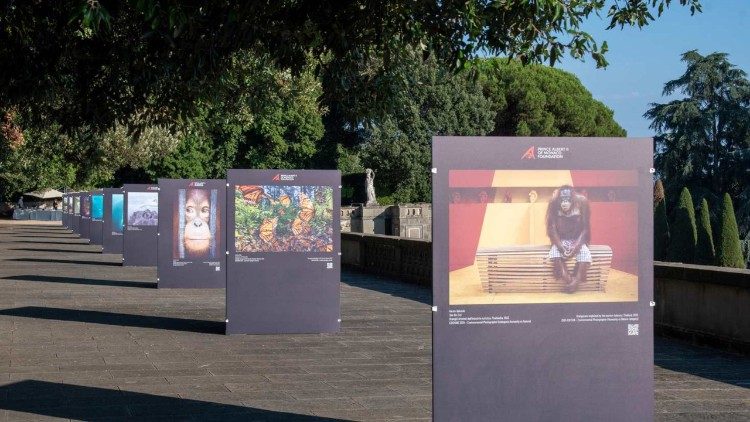 The exhibition