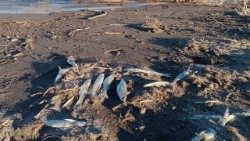 La diga di Cuesta del Viento, in Argentina